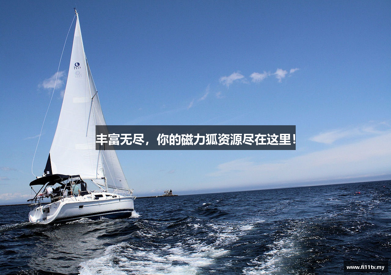 丰富无尽，你的磁力狐资源尽在这里！